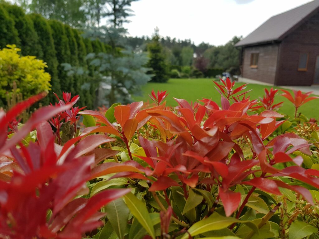 nasze realizacje, ogród naturalistyczny