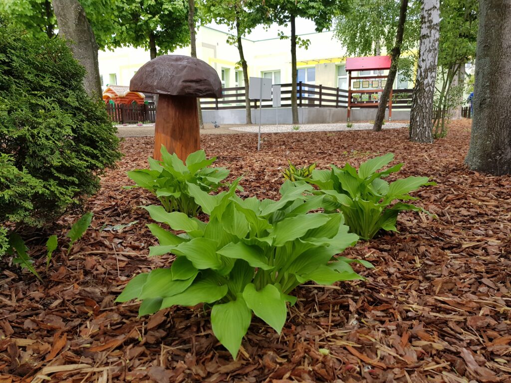 nasze realizacje, przedszkole