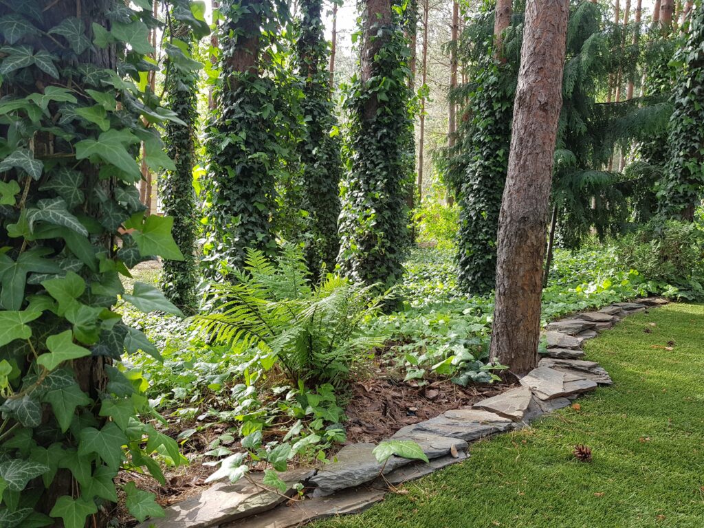 nasze realizacje, ogród w lesie