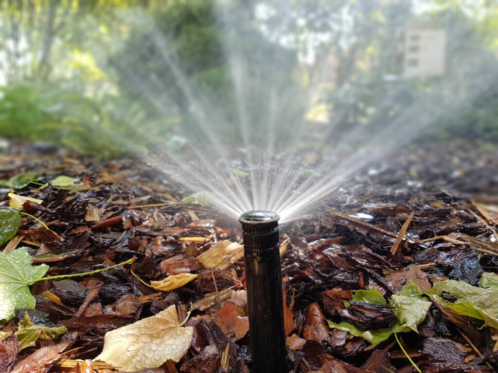 nasze realizacje, przedszkole