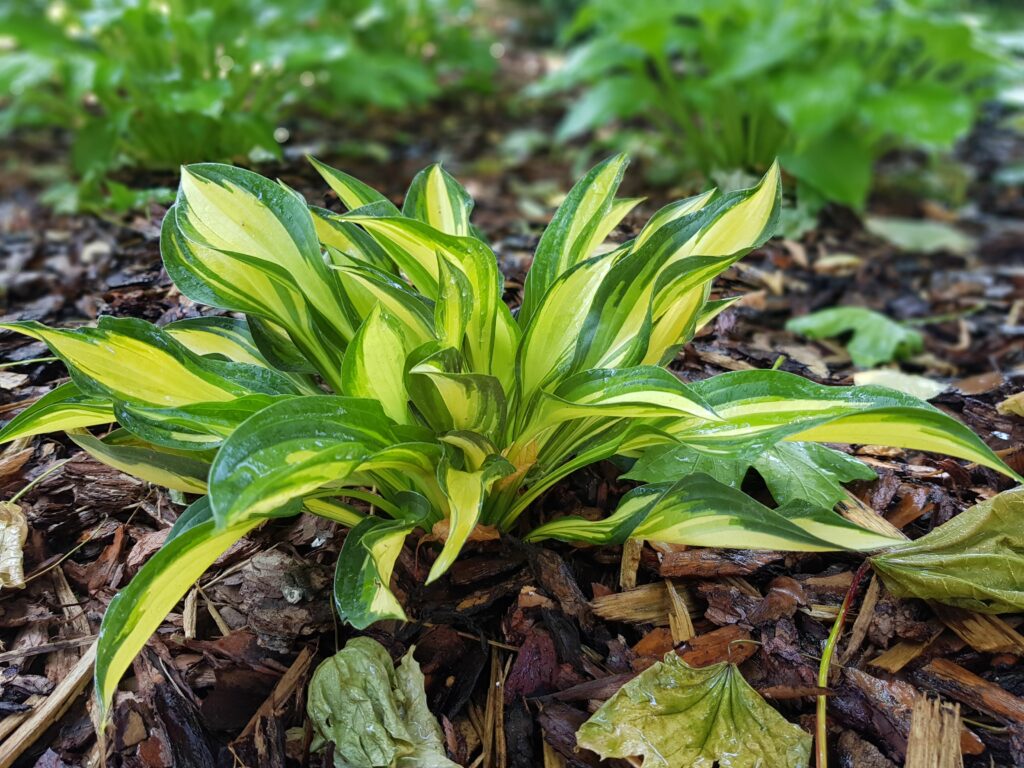 nasze realizacje, przedszkole