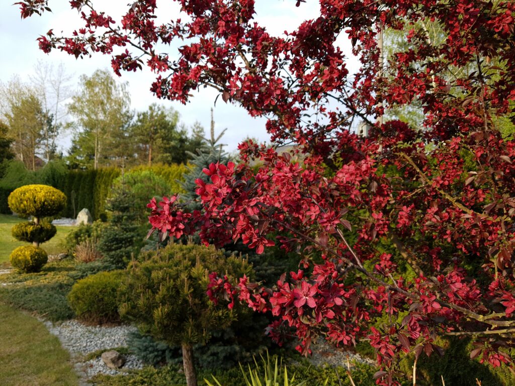 nasze realizacje, ogród naturalistyczny