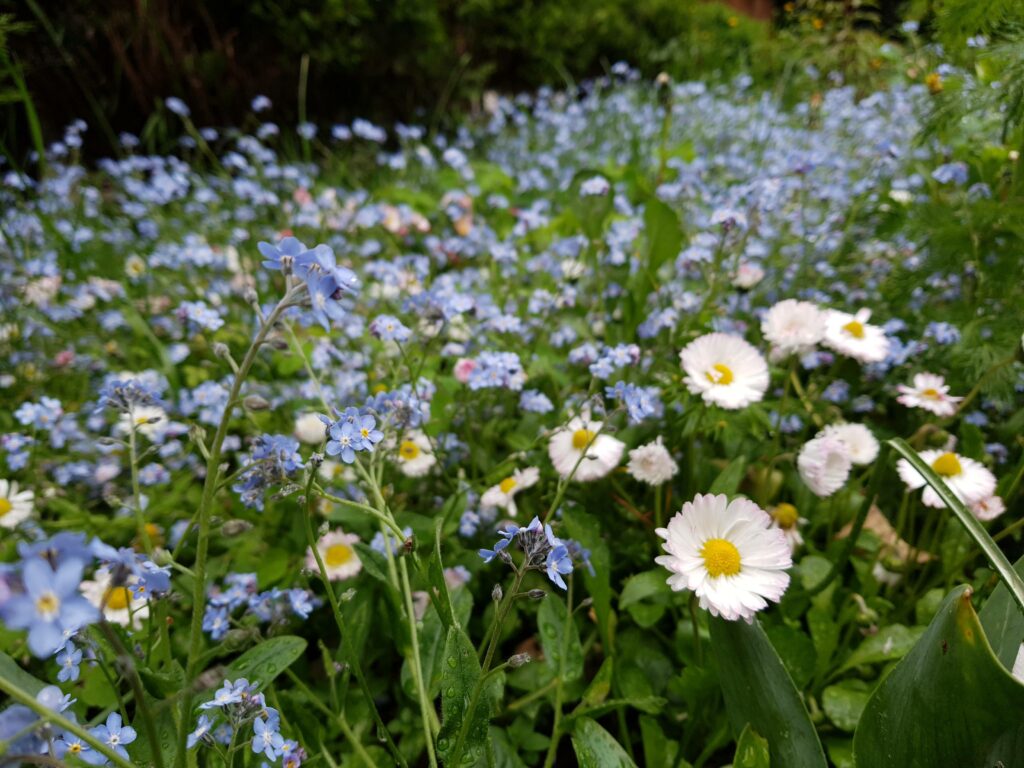 nasze realizacje, ogród naturalistyczny