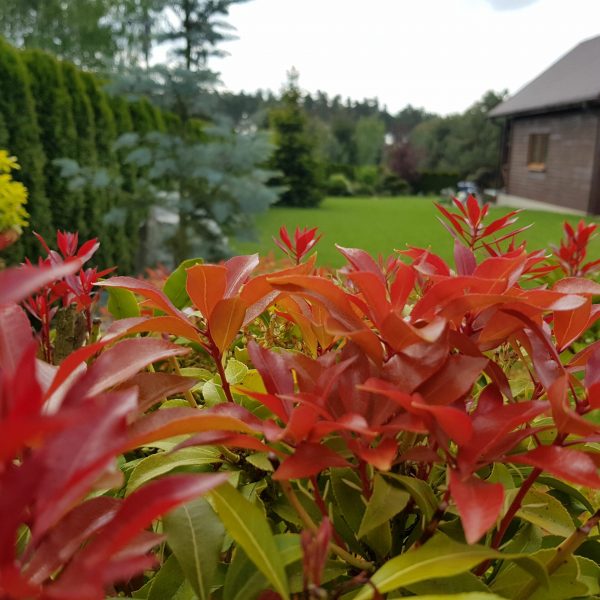 nasze realizacje, ogród naturalistyczny