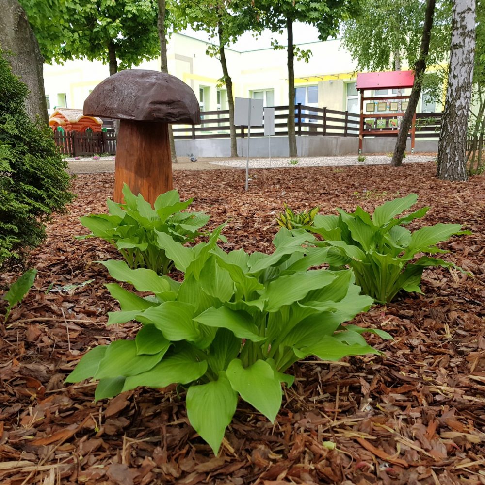 nasze realizacje, przedszkole