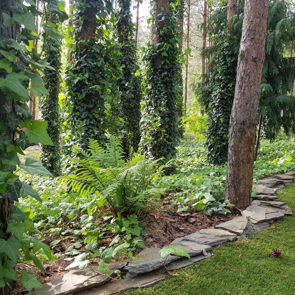 nasze realizacje, ogród w lesie