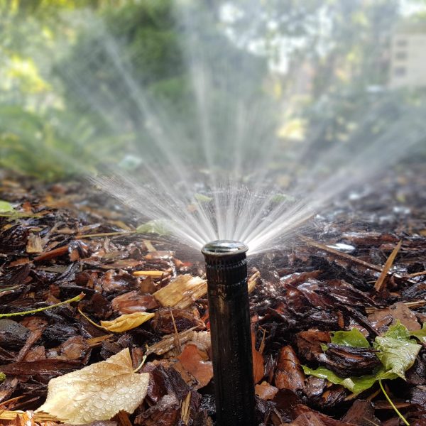 nasze realizacje, przedszkole