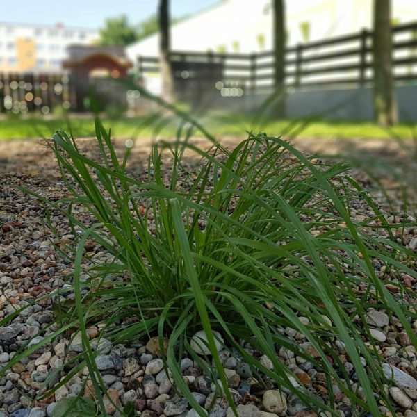 nasze realizacje, przedszkole