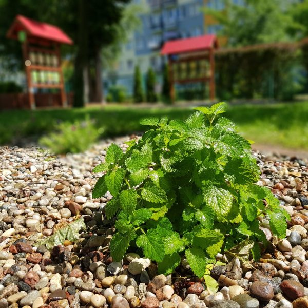 nasze realizacje, przedszkole