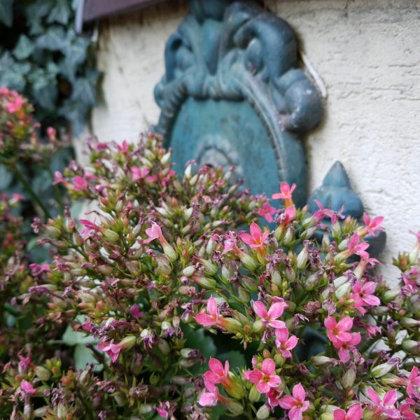 nasze realizacje, zakładanie ogrodów