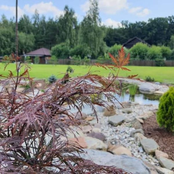 Projekt bez tytułu (4)